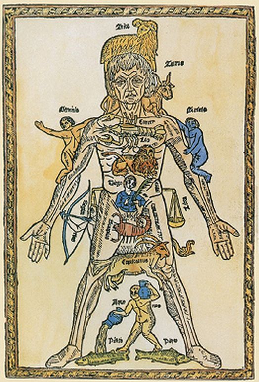 Wpływ znaków zodiaku na obszary ciała człowieka. XIV w. Biblioteka Brytyjska (Londyn).